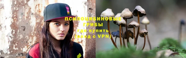 дживик Лабытнанги