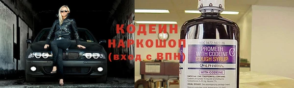 шишки Кулебаки