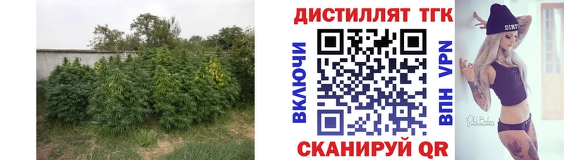 Купить где  Тула  Дистиллят ТГК вейп с тгк 